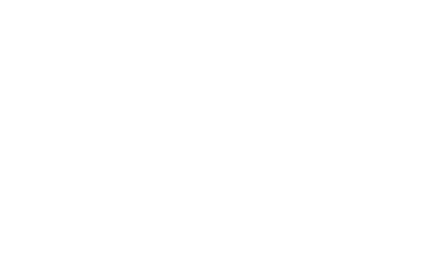 Lens AI